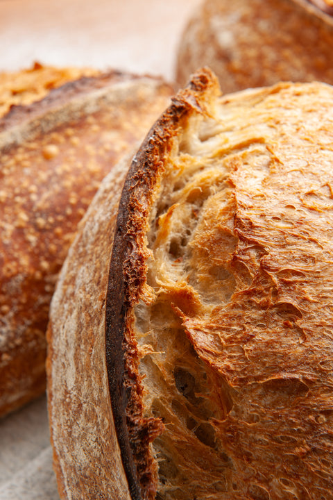 Sourdough Country Loaf (48 Hours) - FROZEN - 700 Grs