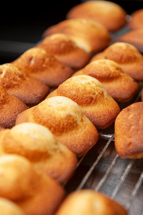 Madeleines Pack - BAKED