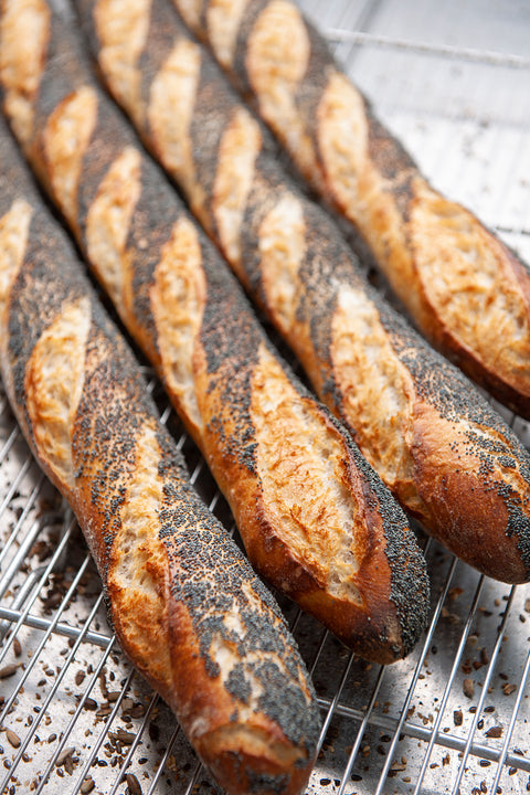 Artisan Poppy Seed Sourdough Baguette - FROZEN - Pack of 4 pcs