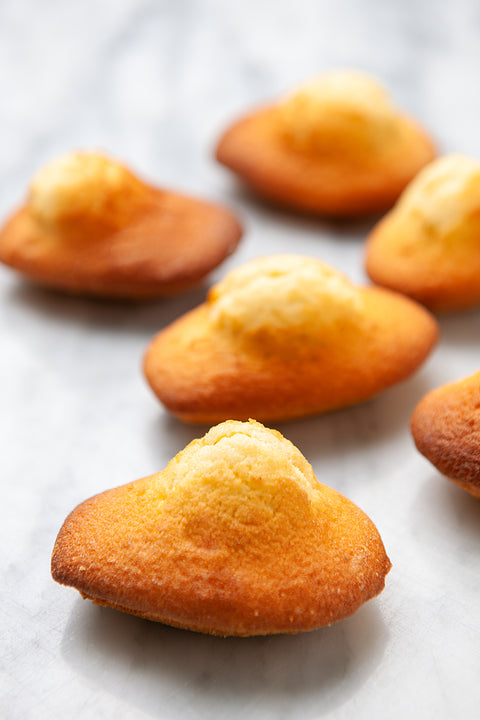 Madeleines Pack - BAKED